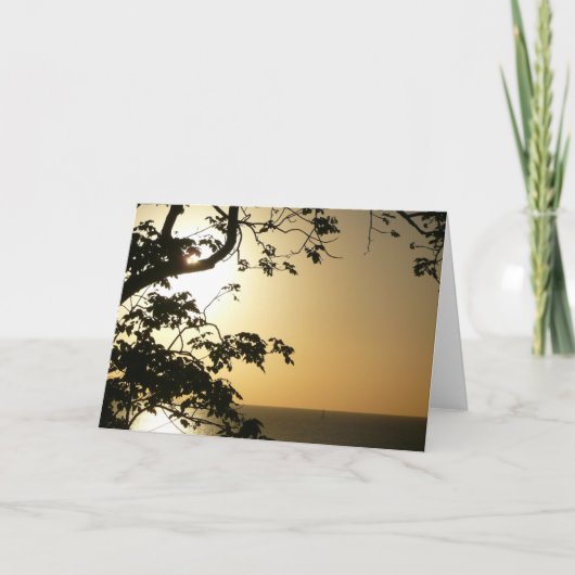 Sunset Through Trees II Tropische fotografie Kaart (Voorkant)