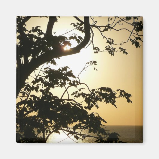 Sunset Through Trees II Tropische fotografie Magneet (Voorkant)