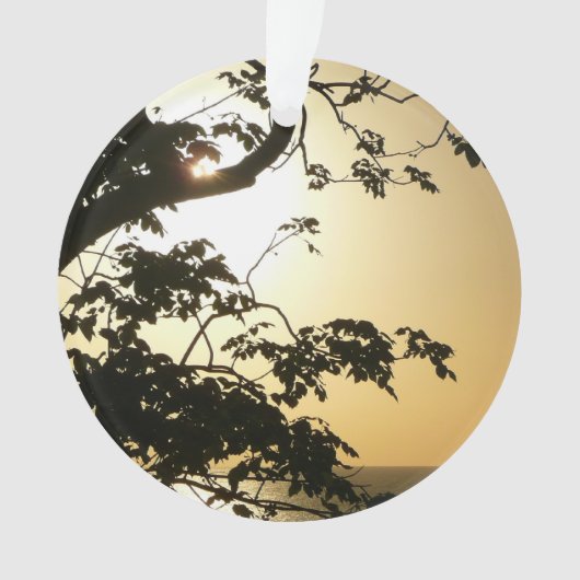 Sunset Through Trees II Tropische fotografie Ornament (voorkant)