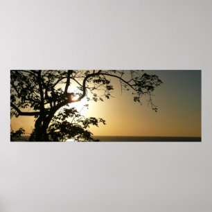 Sunset Through Trees II Tropische fotografie Poster