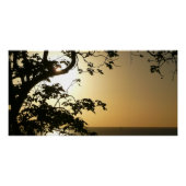 Sunset Through Trees II Tropische fotografie Poster (Voorkant)