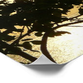 Sunset Through Trees II Tropische fotografie Poster (Hoek)