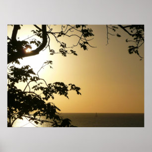 Sunset Through Trees II Tropische fotografie Poster