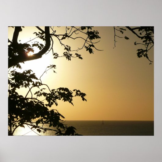 Sunset Through Trees II Tropische fotografie Poster (Voorkant)