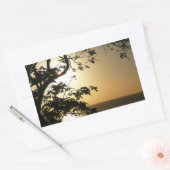 Sunset Through Trees II Tropische fotografie Rechthoekige Sticker (Envelop)