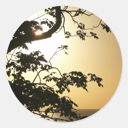 Sunset Through Trees II Tropische fotografie Ronde Sticker (Voorkant)