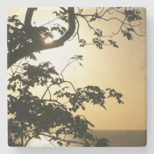 Sunset Through Trees II Tropische fotografie Stenen Onderzetter