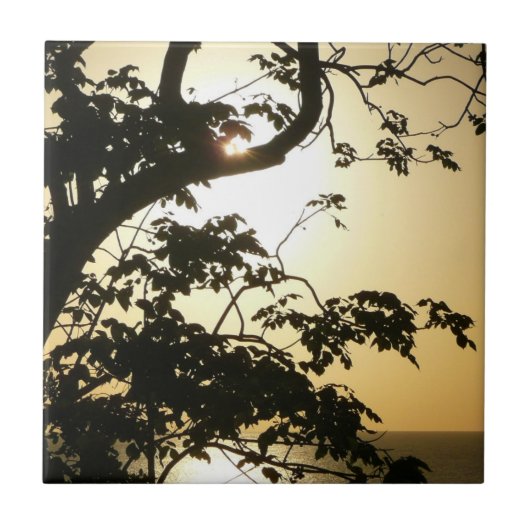 Sunset Through Trees II Tropische fotografie Tegeltje (Voorkant)