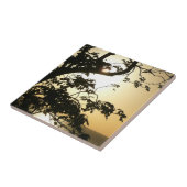 Sunset Through Trees II Tropische fotografie Tegeltje (Zijkant)