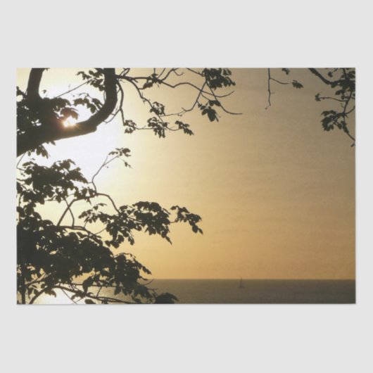 Sunset Through Trees II Tropische fotografie Tissuepapier (Voorkant)