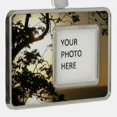 Sunset Through Trees II Tropische fotografie Verzilverd Omlijst Ornament (Rechts)