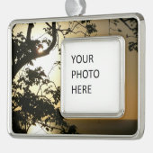 Sunset Through Trees II Tropische fotografie Verzilverd Omlijst Ornament (Links)
