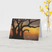 "Sunset Tree #5" Wenskaart landwegen Kaart (Gele Bloem)