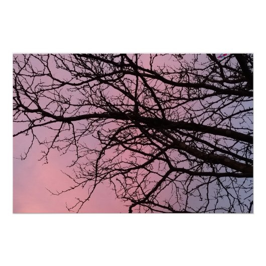 Sunset Tree Branches Photograph Planetm13 Perfect Poster (Voorkant)
