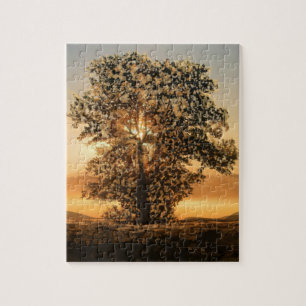 Sunset Tree Puzzle Legpuzzel