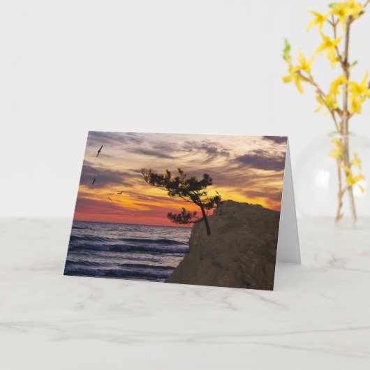 Sunset Tree Vaderdag Kaart (Gele Bloem)