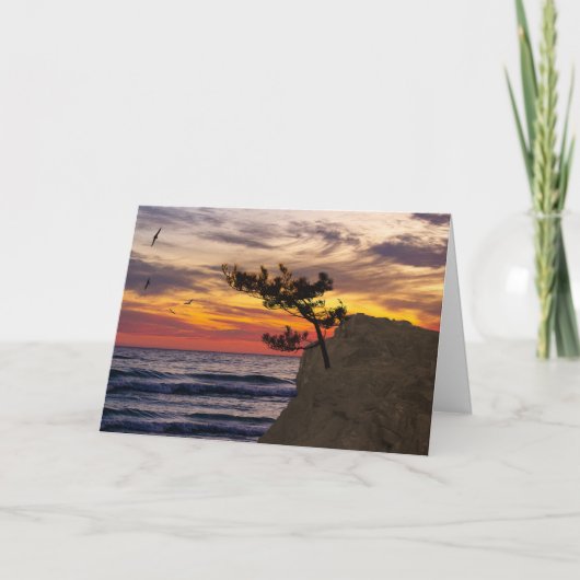 Sunset Tree Vaderdag Kaart (Voorkant)