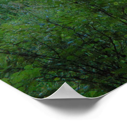 Sunset Truck Poster (Hoek)