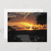 Sunset - Truman Lake Briefkaart (Voorkant / Achterkant)