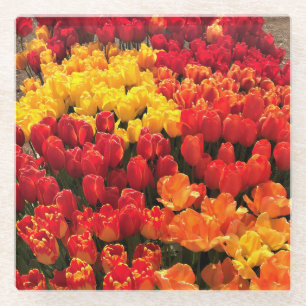 Sunset Tulip Garden Bed, Oregon Glazen Onderzetter