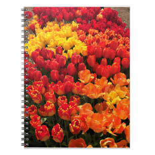 Sunset Tulip Garden Bed, Oregon Notitieboek