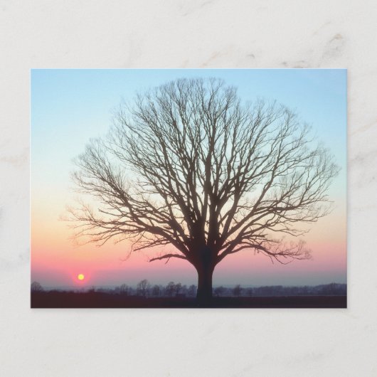 Sunset Uitzicht Briefkaart (Voorkant)