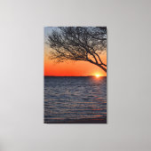 Sunset under Tree Wrapped Canvas Afdruk (Voorkant)