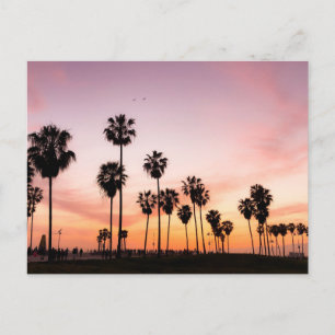 Sunset (Venice Beach, CA) Briefkaart