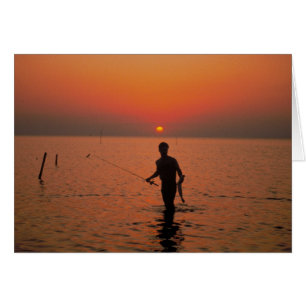 Sunset Vissen