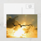SUNSET VLIEGVLUCHT BRIEFKAART (Voorkant / Achterkant)