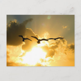 SUNSET VLIEGVLUCHT BRIEFKAART