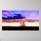 Sunset voorbij Tree_ Poster (Voorkant)
