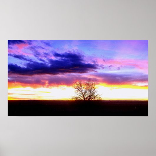 Sunset voorbij Tree_ Poster (Voorkant)