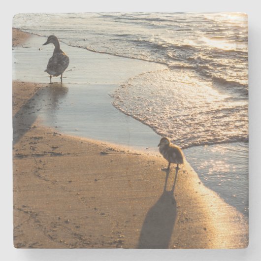 Sunset Walk met mama Stenen Onderzetter (Voorkant)
