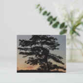 Sunset Watch Briefkaart (Staand voorkant)