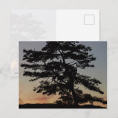 Sunset Watch Briefkaart (Voorkant / Achterkant)
