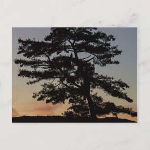 Sunset Watch Briefkaart