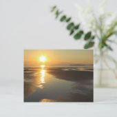 Sunset Wellfleet Bay Wildlife Sanctuary Kaap Cod. Briefkaart (Staand voorkant)