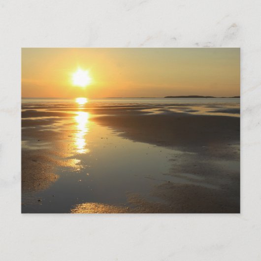 Sunset Wellfleet Bay Wildlife Sanctuary Kaap Cod. Briefkaart (Voorkant)