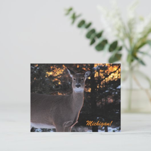 Sunset Whitetail Briefkaart (Staand voorkant)