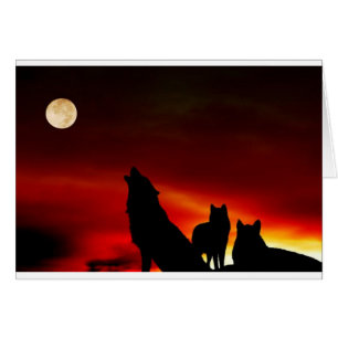 Sunset Wolves