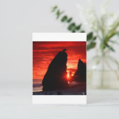 Sunset Zee Stacks Bloed Rood Briefkaart (Staand voorkant)