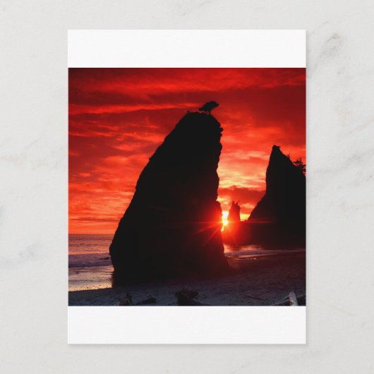 Sunset Zee Stacks Bloed Rood Briefkaart (Voorkant)
