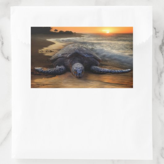 Sunset Zee Turtle Sticker (Tas)