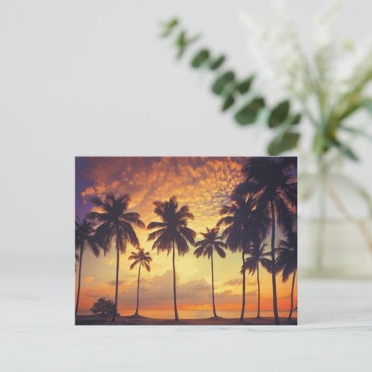 Sunsetpalm Briefkaart (Staand voorkant)