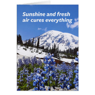 Sunshine and Fresh Air