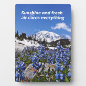 Sunshine and Fresh Air Fotoplaat (voorkant)