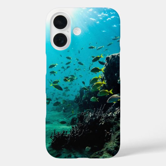 Sunshine and Tropical Fish Case-Mate iPhone Case (Achterkant)