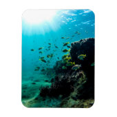 Sunshine and Tropical Fish Magneet (Verticaal)