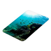 Sunshine and Tropical Fish Magneet (Linkerzijde)